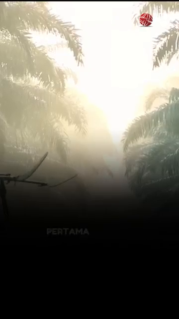 Sinar Mas Agro Resources And Technology Siapkan Surat Utang Rp1 2 Triliun   Idxc Update.