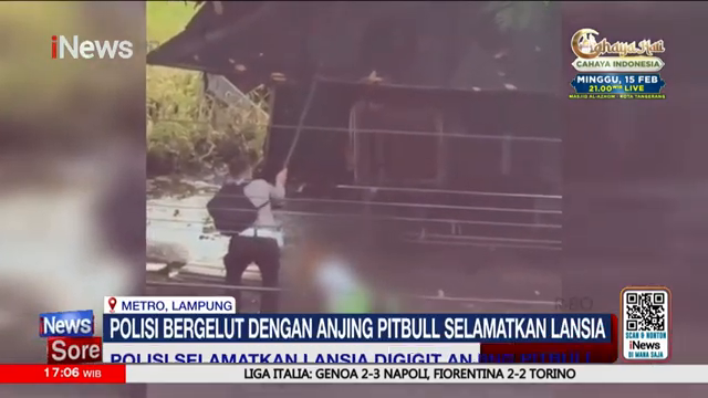 Polisi Selamatkan Lansia Dari Serangan Anjing Pitbull Di Metro Lampung   Inews Sore (08 02)