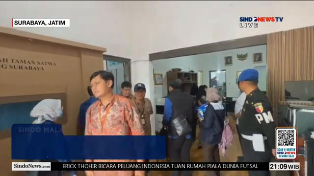 Kantor Kebun Binatang Surabaya Digeledah  Penyidik Kejaksaan Dalami Dugaan Korupsi   Sindo Malam