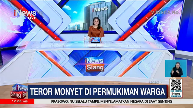 Teror Monyet Di Permukiman   Inews Siang (09 02)