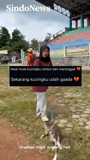 Update Kasus Kematian Kucing Di Blora  Keluarga Tutup Pintu Damai Meski Ditawari Anggora.